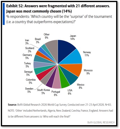 Survey of possible World Cup surprise outperformers